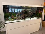 Aquarium Aquatlantis Sublim + Discus Vissen, Dieren en Toebehoren, Gebruikt, Ophalen, Gevuld zoetwateraquarium