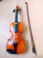 Violette 1/8, Enlèvement, Violon