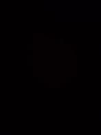 Bv te koop, Zakelijke goederen