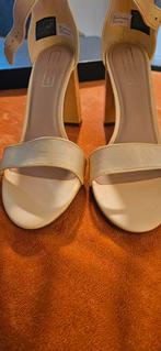 Tommy hilfiger  M42 nieuwstaat, Kleding | Dames, Schoenen, Ophalen of Verzenden