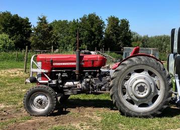 Massey-Ferguson 65!! Perfecte staat! beschikbaar voor biedingen