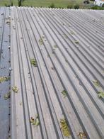 Geïsoleerde dakpanelen, Doe-het-zelf en Bouw, Dakpannen en Dakbedekking, Gebruikt, Overige kleuren, 15 m² of meer, Metaal