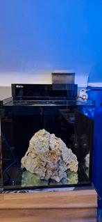 Red sea aquarium 75l, Dieren en Toebehoren, Vissen | Aquaria en Toebehoren, Ophalen, Zo goed als nieuw, Leeg aquarium
