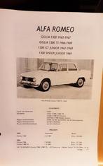 Alfa romeo Giulia technische fiche, Ophalen of Verzenden, Zo goed als nieuw, Alfa Romeo
