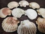 LOT DE 28 COQUILLES A GARNIR, Huis en Inrichting, Keuken | Servies, Overige materialen, Zo goed als nieuw, Ophalen