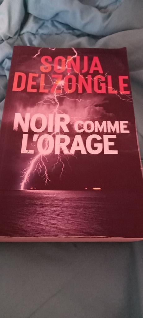 Noir comme l'orage, Boeken, Romans, Zo goed als nieuw, Wereld overig, Ophalen of Verzenden