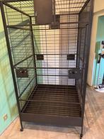Papegaaien kooi, Dieren en Toebehoren, Ophalen, Gebruikt