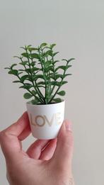 groen plastic plantje met "Love", Maison & Meubles, Plantes d'intérieur, En pot, Plante verte, Plein soleil, Plante succulente
