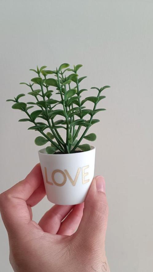 groen plastic plantje met "Love", Huis en Inrichting, Kamerplanten, Vetplant, Minder dan 100 cm, Groene kamerplant, Volle zon