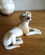 Labrador Golden Retriever. Castagna, 1988, Ophalen of Verzenden, Gebruikt, Dier
