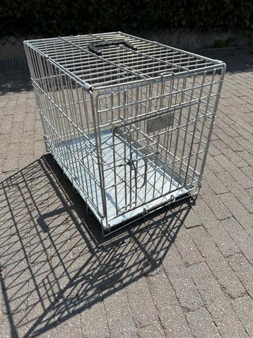 Honden bench xxs beschikbaar voor biedingen
