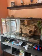 Terrarium met mooie achtergrond, Dieren en Toebehoren, Ophalen, Gebruikt