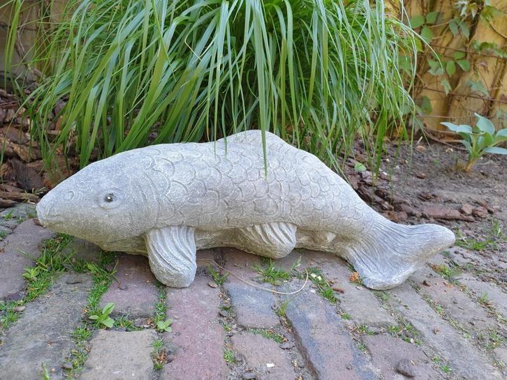 koi karper , tuinbeeld , kado, Tuin en Terras, Tuinbeelden, Nieuw, Ophalen of Verzenden