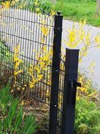 Jonge forsythiaplanten, Tuin en Terras, Ophalen, Lente