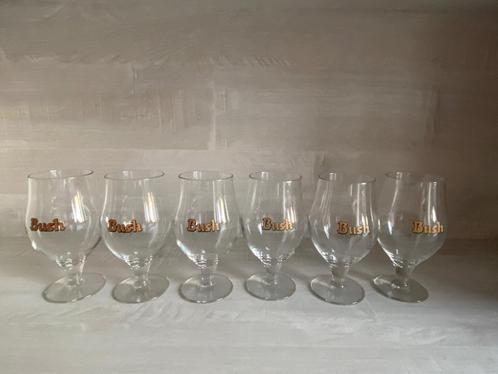 02/ Lot de 12 verres Bush sans contenance, Collections, Verres & Petits Verres, Comme neuf, Verre à bière, Enlèvement ou Envoi