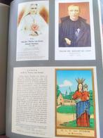 boek: elfde gebod-mystieke plaatsen en figuren in Vlaanderen, Ophalen of Verzenden