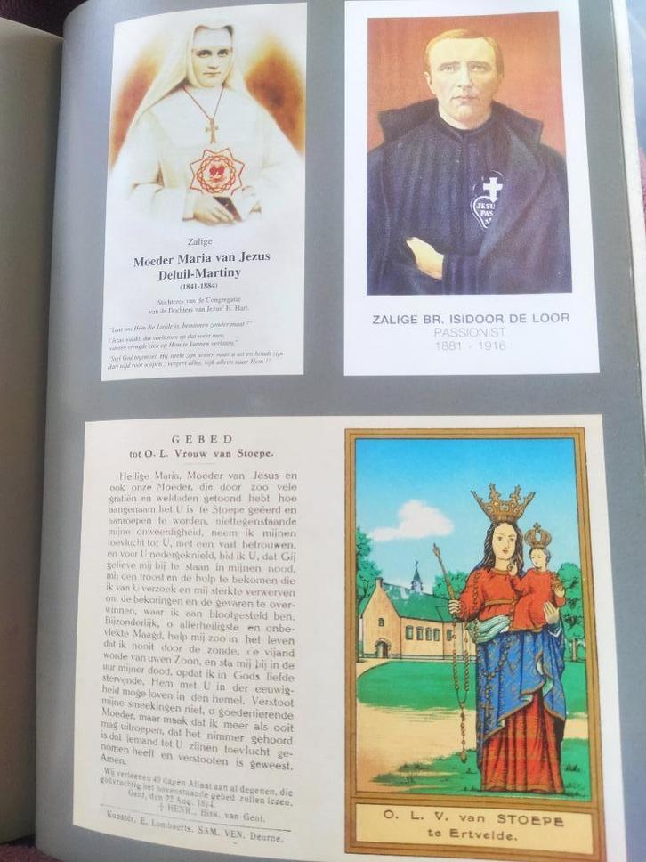 boek: elfde gebod-mystieke plaatsen en figuren in Vlaanderen, Boeken, Geschiedenis | Stad en Regio, Ophalen of Verzenden