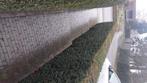 Kleiklinkers, Tuin en Terras, Ophalen, Overige materialen, Klinkers, Nieuw