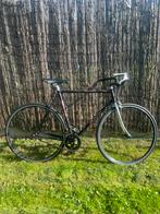 Minerva giro di italia singlespeed, Ophalen, Minerva