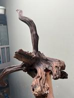 Hout voor aquarium, Dieren en Toebehoren, Vissen | Aquaria en Toebehoren, Ophalen