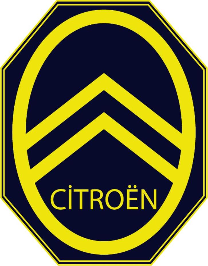 GRAND LOT DE PIECES POUR BX GTI, Auto-onderdelen, Overige Auto-onderdelen, Citroën, Oldtimer onderdelen, Gebruikt, Ophalen of Verzenden