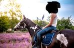 Apparte bonte 3jaarse merrie, Merrie, B, Gechipt, Springpony