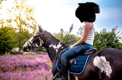 Apparte bonte 3jaarse merrie, Dieren en Toebehoren, Pony's, Merrie, B, D pony (1.37m tot 1.48m), Springpony, 3 tot 6 jaar, Met stamboom