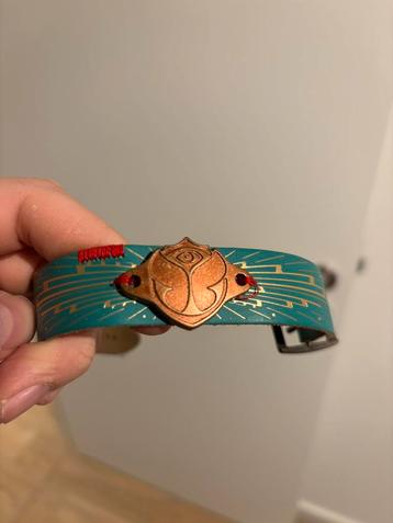 Original Tomorrowland Pass & Box beschikbaar voor biedingen