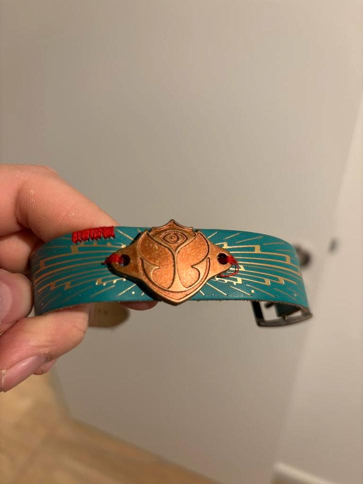 Original Tomorrowland Pass & Box, Dieren en Toebehoren, Hondenhalsbanden en Penningen, Zo goed als nieuw, Ophalen