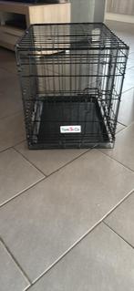 Honden bench, Dieren en Toebehoren, Hondenbenches, Ophalen, Zo goed als nieuw