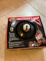 Terrarium lamp, Animaux & Accessoires, Reptiles & Amphibiens, Amphibien