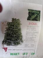 Kerstboom, Ophalen, Gebruikt