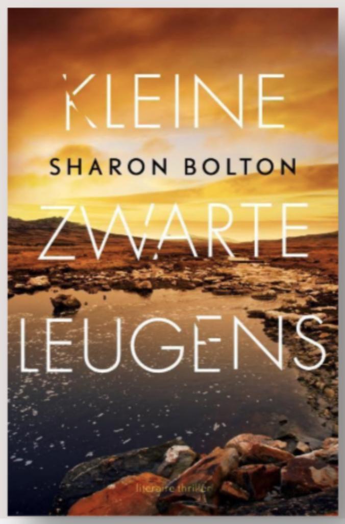 Boek Kleine zwarte leugens - Sharon Bolton, Boeken, Thrillers, Zo goed als nieuw, Verzenden