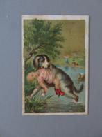 1890 Horlogier Bijoutier Daenen Huy chien sauve enfant, Avant 1940, Gravure, Comme neuf, Animal