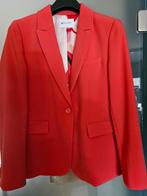 Vestje dames, Kleding | Dames, Maat 38/40 (M), Nieuw, Ophalen of Verzenden, D'Auvry