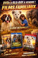 Films FAMILLE en VRAC 🎥 dvd ▬ blu-ray, Enlèvement ou Envoi, Comme neuf