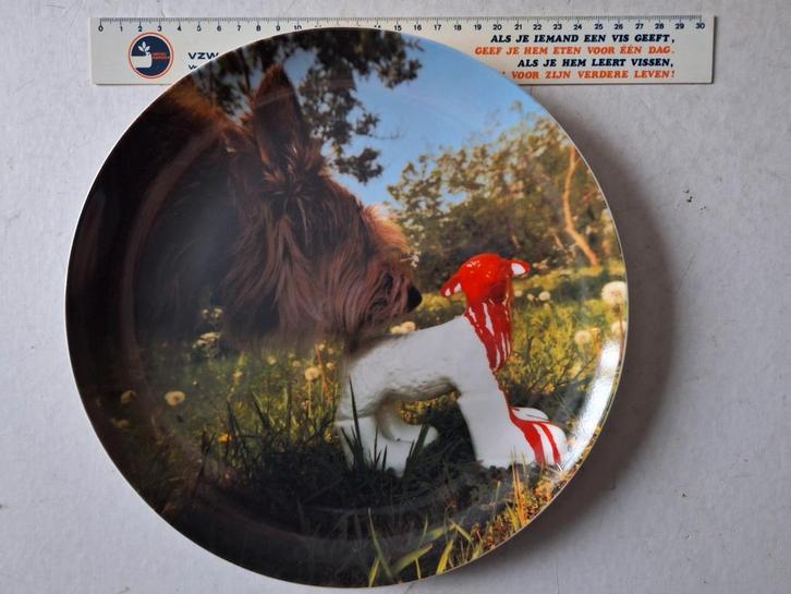 Porseleinen bord William Sweetlove "Hond en lammetje", Antiek en Kunst, Kunst | Designobjecten, Ophalen of Verzenden