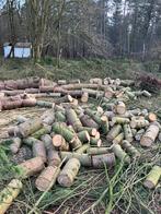 Brandhout op stam, 6 m³ ou plus, Enlèvement, Autres essences de bois, Troncs d'arbres