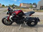 MV Agusta	Dragster 800RR, Motos, Entreprise, Plus de 35 kW, 800 cm³