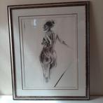 Mario Van Den Broeck, Enlèvement