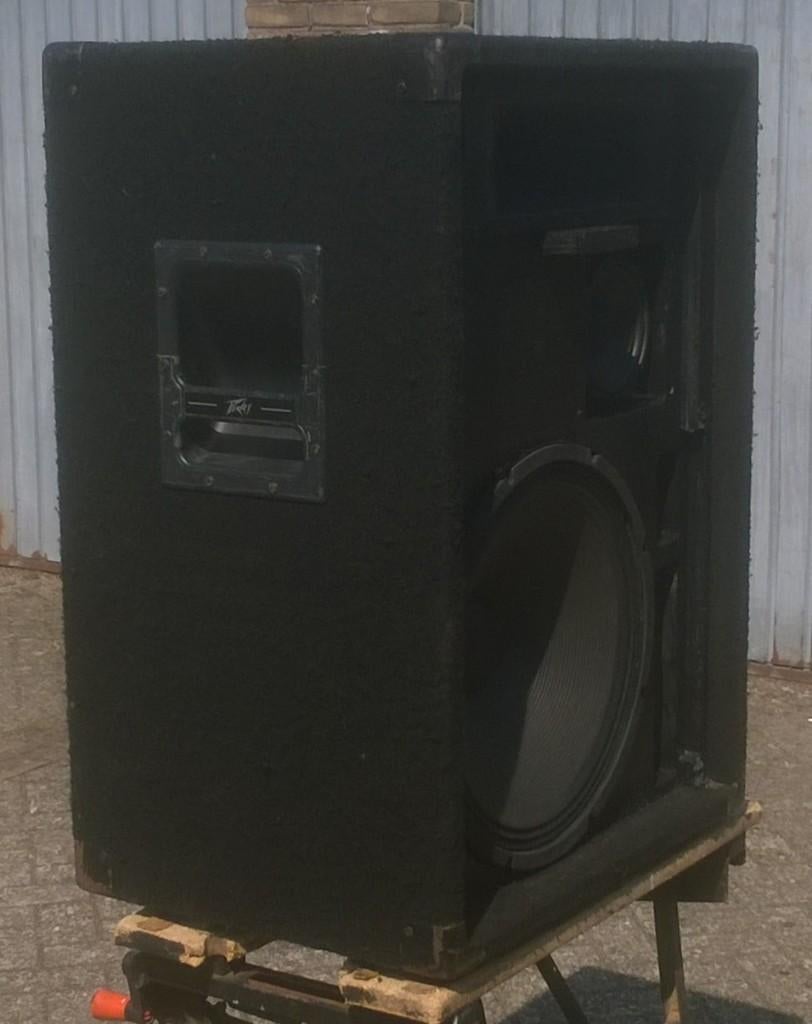 Luidsprekers 15 inch 3-weg 200 Watt, 2 stuks, Audio, Tv en Foto, Luidsprekerboxen, Overige merken, Refurbished, Ophalen of Verzenden