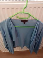 Blauwe trui merk Marie Méro te koop.M 44-46, Vêtements | Femmes, Pulls & Gilets, Taille 42/44 (L), Marie Méro, Comme neuf, Enlèvement