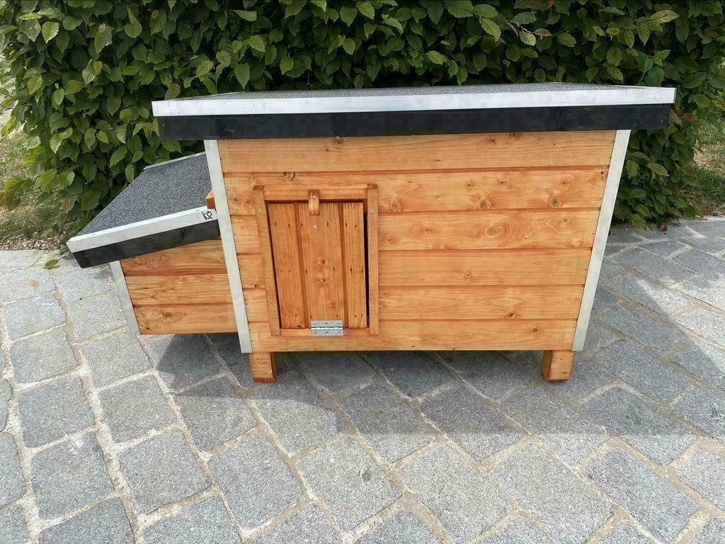 Kippenhok Wood 1, Ophalen of Verzenden, Nieuw, Kippenhok of Kippenren