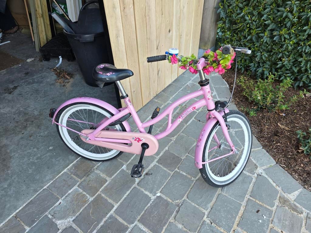 Alpina ocean kinderfiets, Ophalen