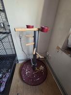 Pour perroquet a vendre, Enlèvement