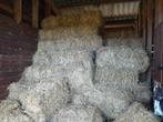 kleine balen hooi te koop, Dieren en Toebehoren, Ophalen