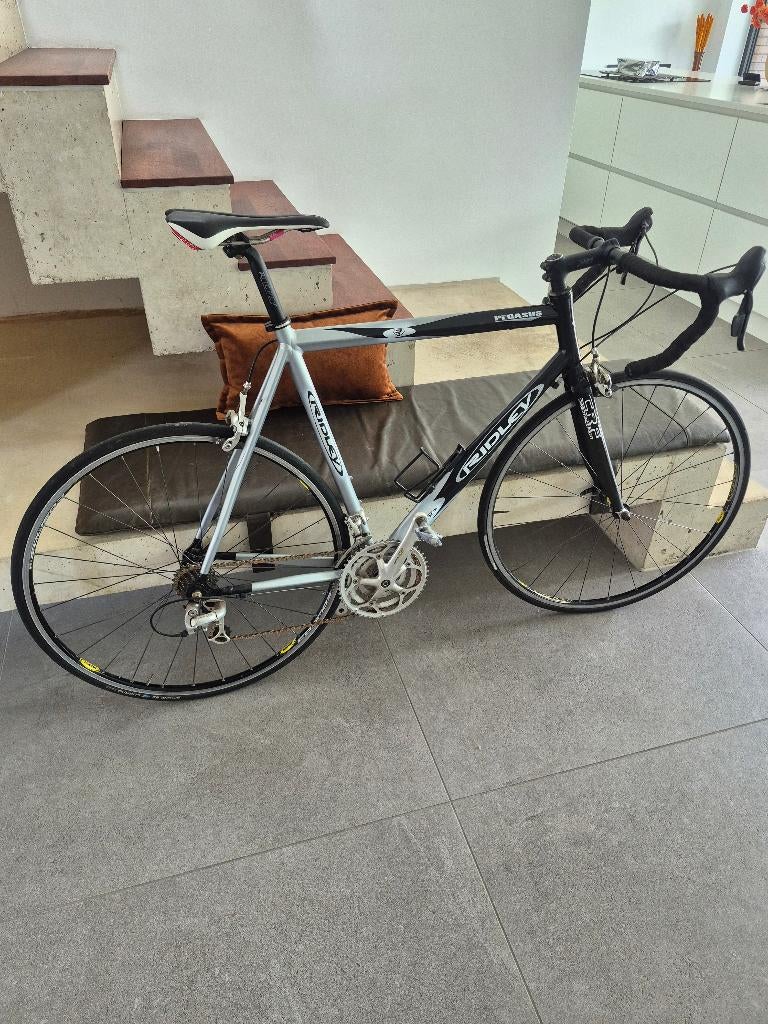 Racefiets Ridley Pegasus 59, Gebruikt, Heren, 57 tot 61 cm, Ophalen