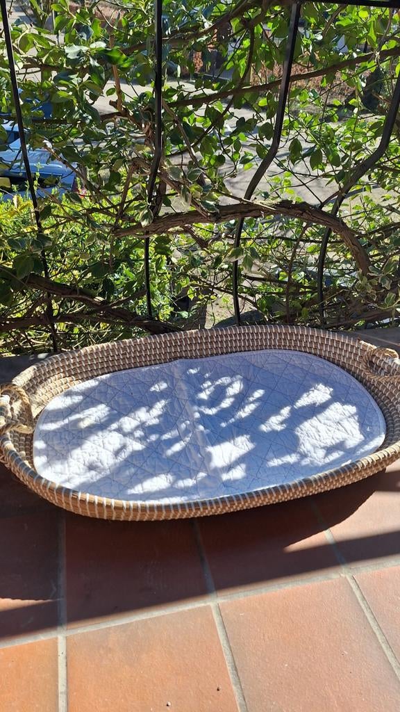 Mooie Mozes mand voor babykussen, Ophalen