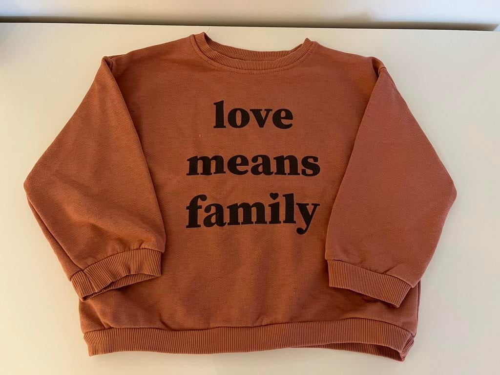 Sweater meisjes maat 4/5 jaar, Kinderen en Baby's, Kinderkleding | Maat 104, Ophalen of Verzenden, Zo goed als nieuw, Meisje, Trui of Vest