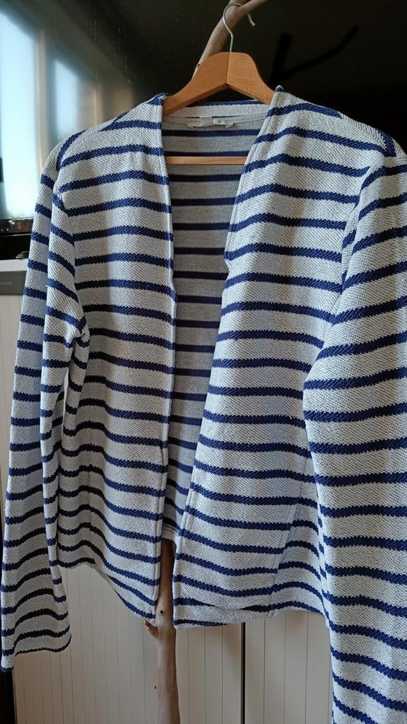 Esprit gilet maat XL, Ophalen of Verzenden, Maat 46/48 (XL) of groter